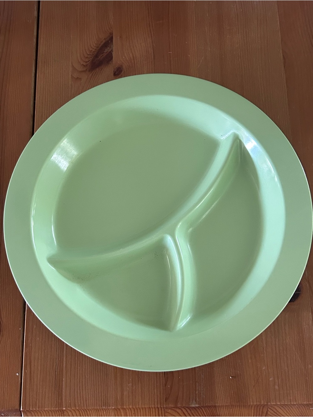 Pottery Barn Kids Divided Plate